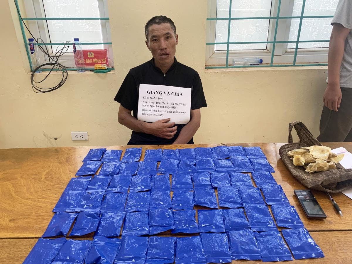 Mua 12.000 viên ma túy mang về bán kiếm lời ở Điện Biên - 1