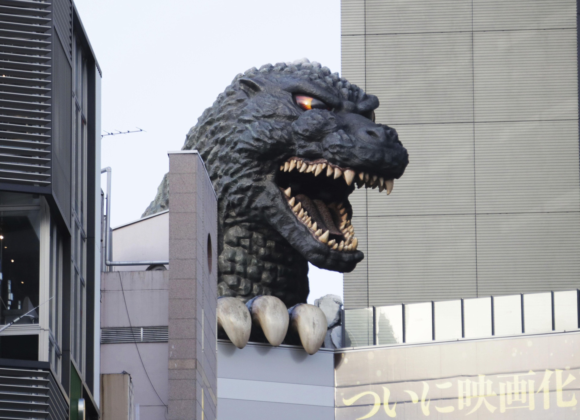 Chồng tức tối nộp đơn ly dị vì vợ lấy mô hình Godzilla của mình cho cháu - 2