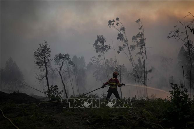 Châu Âu căng thẳng chống cháy rừng, 70 thành phố ở Bồ Đào Nha đối mặt rủi ro lớn - 1