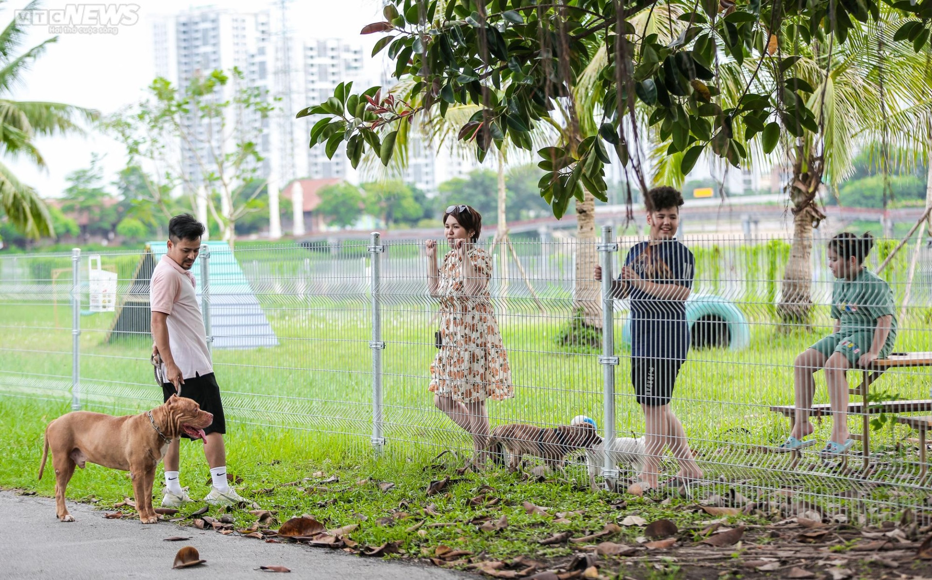 Công viên dành cho chó đầu tiên tại Hà Nội, mỗi ngày đón hơn 100 lượt thú cưng - 12
