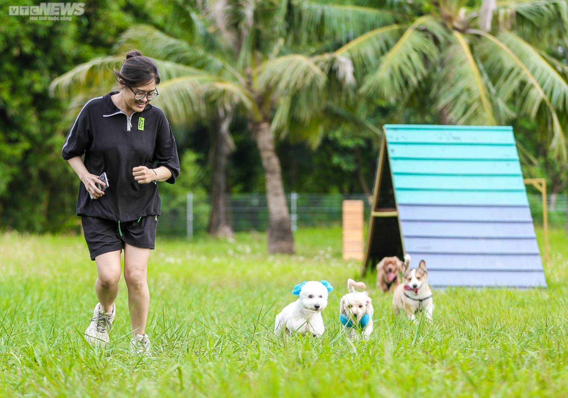 Công viên dành cho chó đầu tiên tại Hà Nội, mỗi ngày đón hơn 100 lượt thú cưng - 7