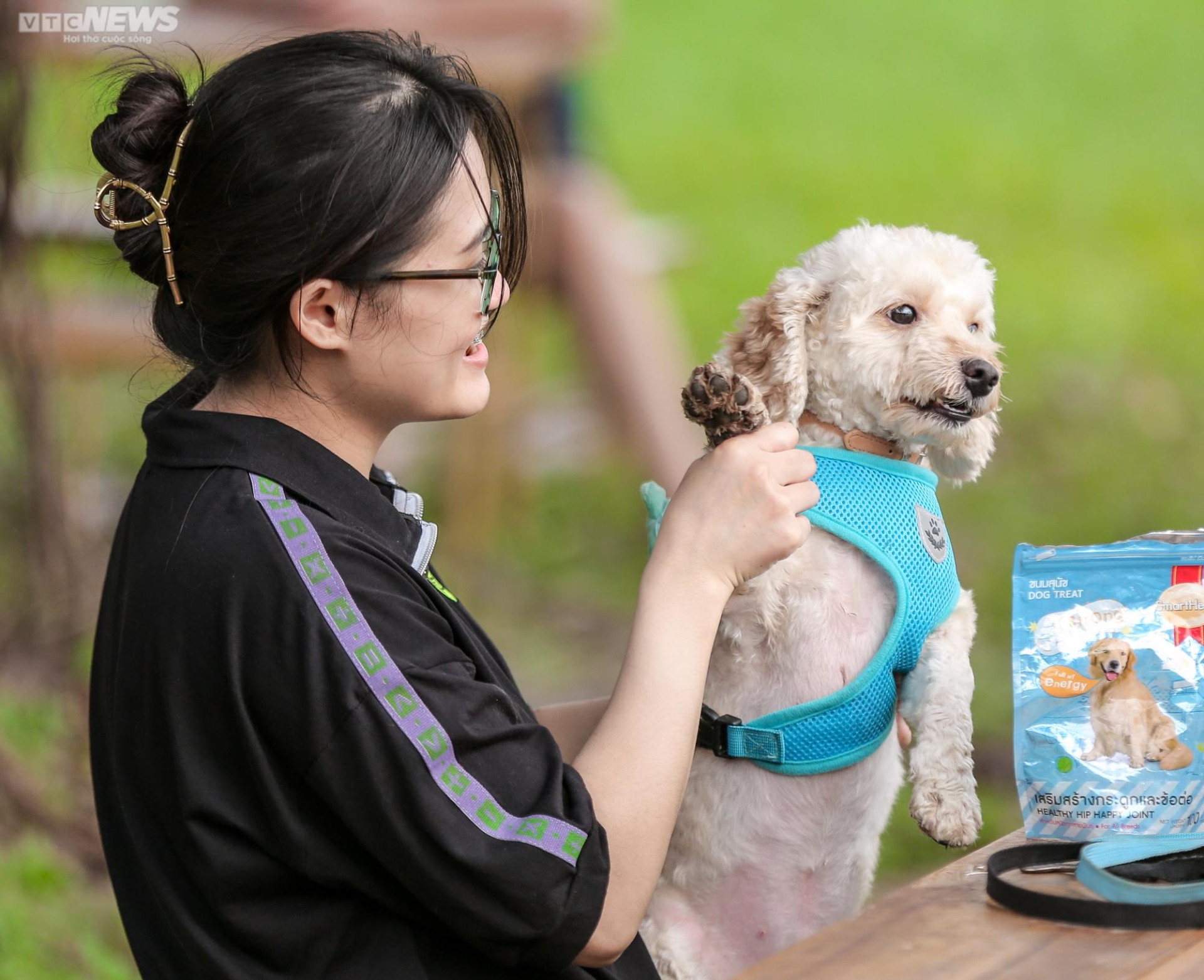 Công viên dành cho chó đầu tiên tại Hà Nội, mỗi ngày đón hơn 100 lượt thú cưng - 10