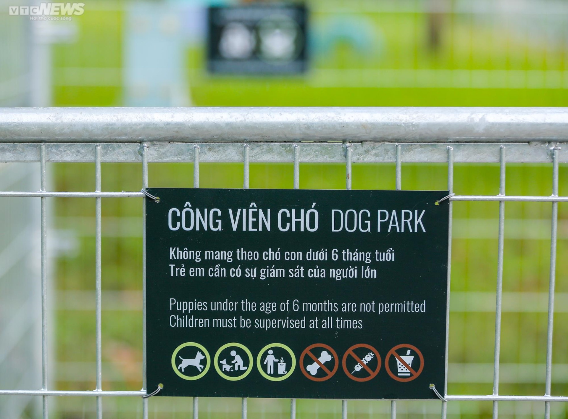Công viên dành cho chó đầu tiên tại Hà Nội, mỗi ngày đón hơn 100 lượt thú cưng - 5