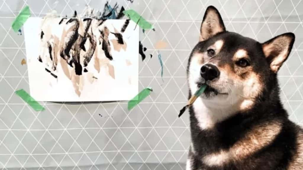 Chú chó có tài vẽ tranh được khắp thế giới đặt mua, giúp chủ kiếm hơn 400 triệu - 1