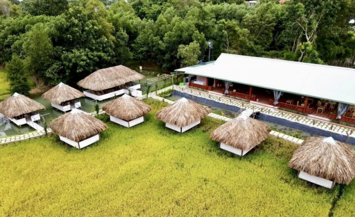 loạn homestay, farmstay không phép ở bà rịa - vũng tàu hình ảnh 1 loan homestay, farmstay khong phep o ba ria - vung tau hinh anh 1