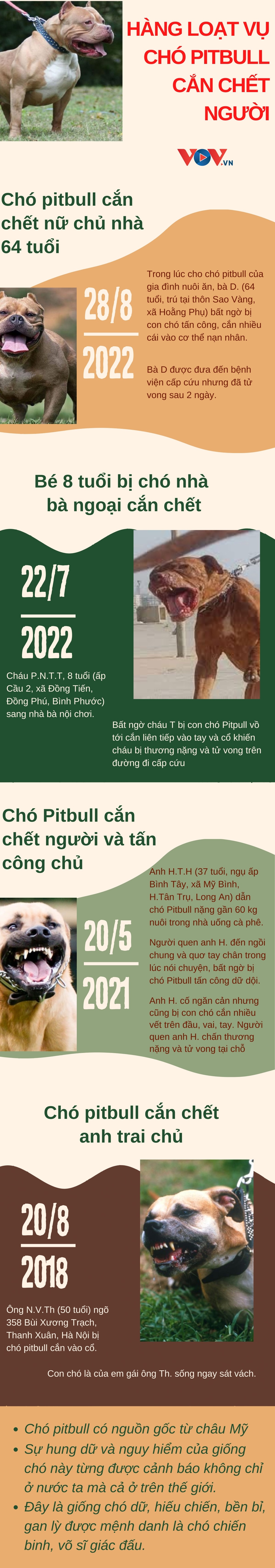 hang loat vu cho pitbull tan cong, can chet nguoi kinh hoang hinh anh 1