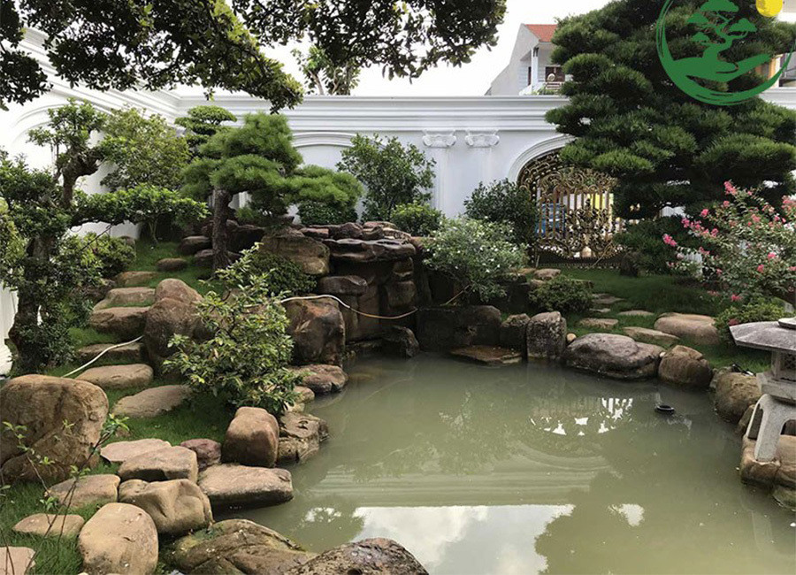 Vườn Nhật, cá koi - thú chơi tiền tỷ của nhà giàu Việt - 1