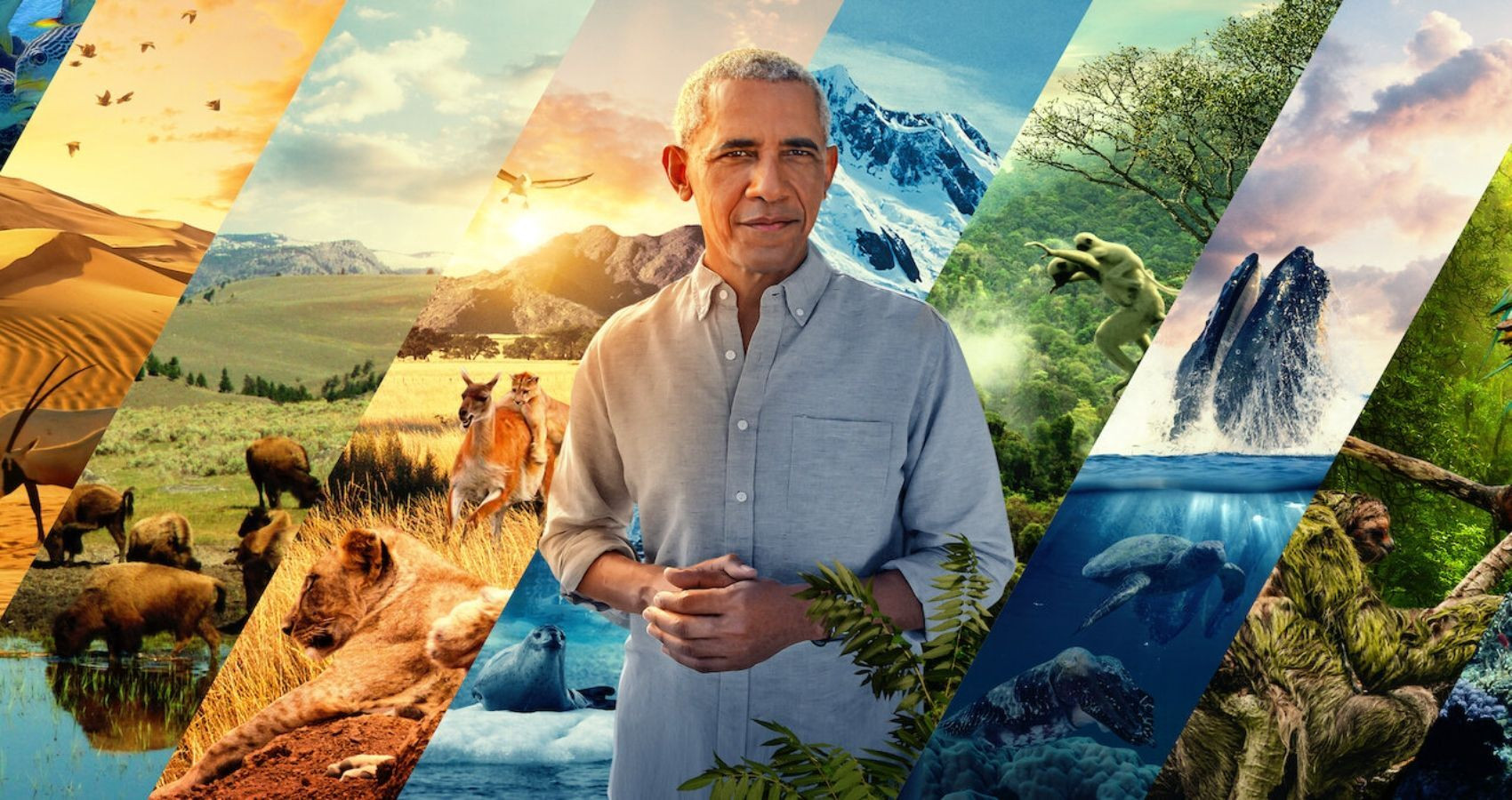 Cựu Tổng thống Mỹ Obama giành giải thưởng Emmy - 1