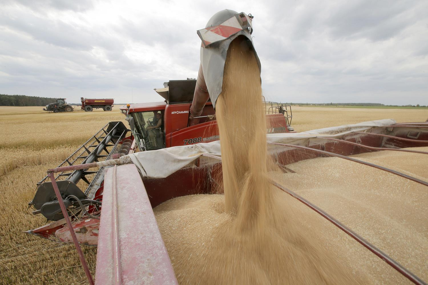 Ukraine chuẩn bị xuất khẩu thêm 280 nghìn tấn nông sản - 1