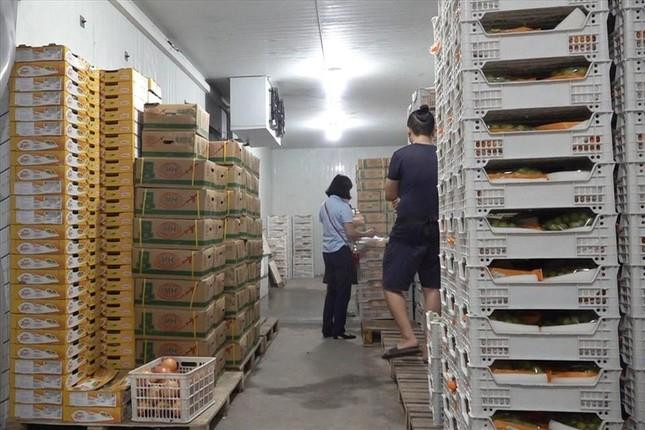 Hà Nội: Hàng loạt cửa hàng bán hoa quả nhập khẩu mập mờ xuất xứ - 1