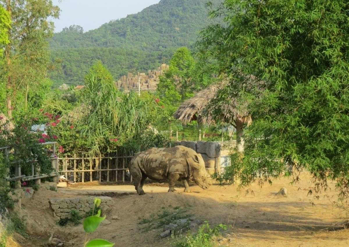 công an điều tra nguyên nhân 6 con tê giác chết tại khu sinh thái ở nghệ an hình ảnh 1 cong an dieu tra nguyen nhan 6 con te giac chet tai khu sinh thai o nghe an hinh anh 1
