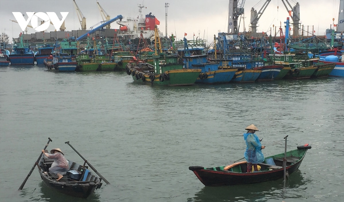 tau ca bi nan ngoai bien, 4 ngu dan duoc hai quan cuu kip thoi hinh anh 1