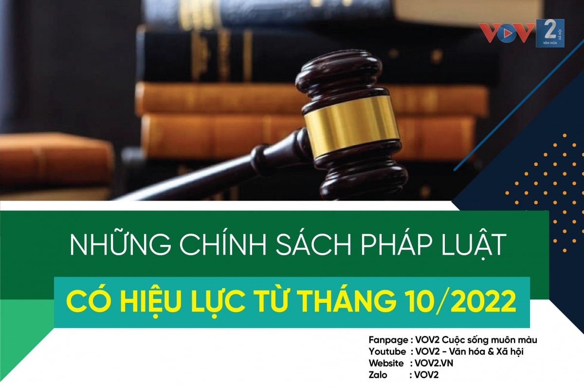 Những chính sách pháp luật có hiệu lực từ tháng 10/2022