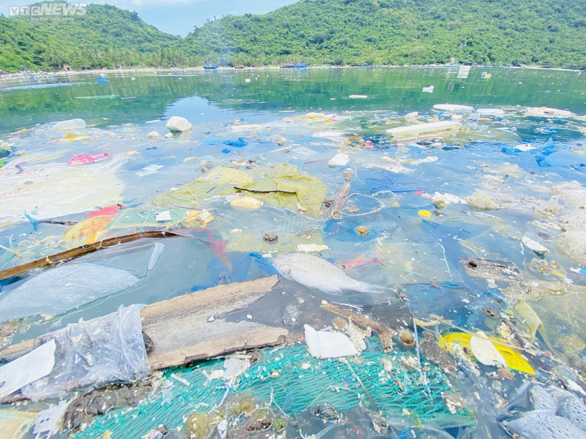 Rác thải nhựa ngập ngụa quanh các bè nuôi thuỷ sản ở vịnh Vũng Rô, Phú Yên - 1