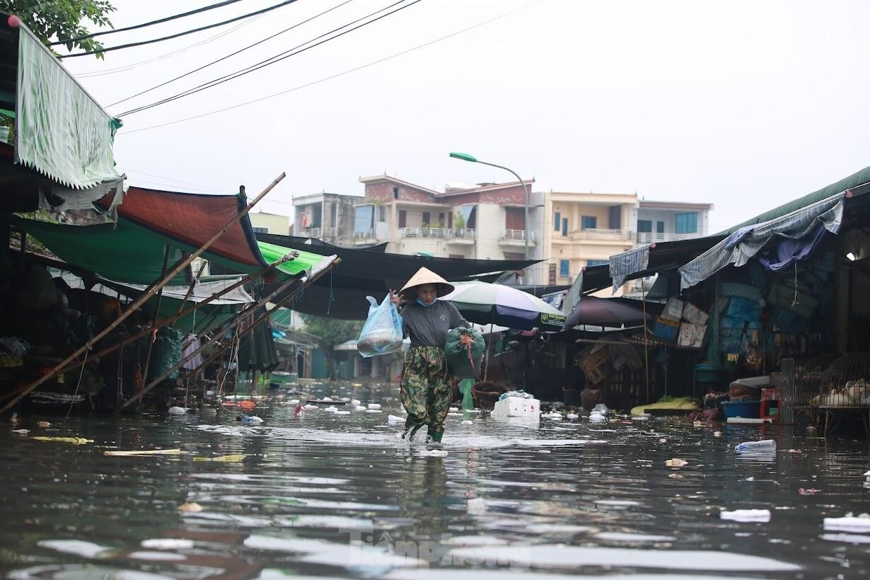 Nước lũ đổ về, chợ đầu mối lớn nhất Nghệ An ngập nặng - 10