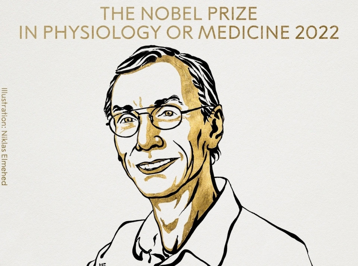 Nhà khoa học Thụy Điển Svante Paabo giành giải Nobel Y sinh 2022 - 1