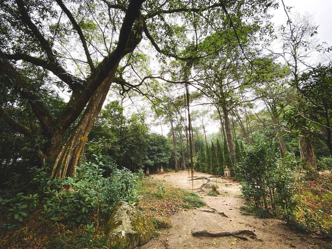 Vẻ thoát tục của ngôi cổ tự ẩn trên núi cao ở Quảng Ninh ít người biết - 6