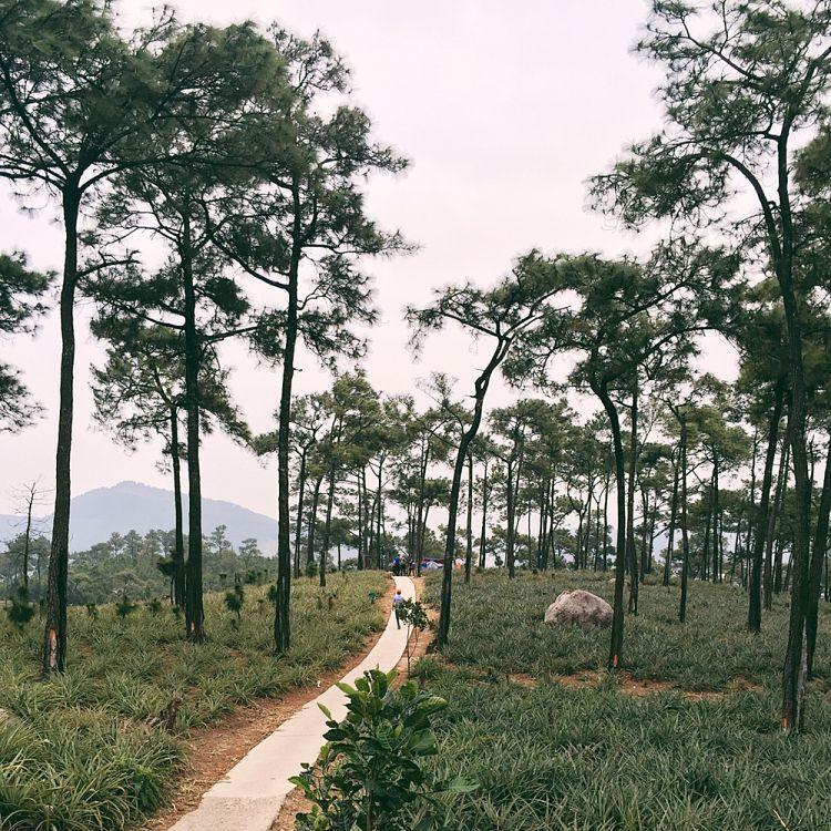 Vẻ thoát tục của ngôi cổ tự ẩn trên núi cao ở Quảng Ninh ít người biết - 7