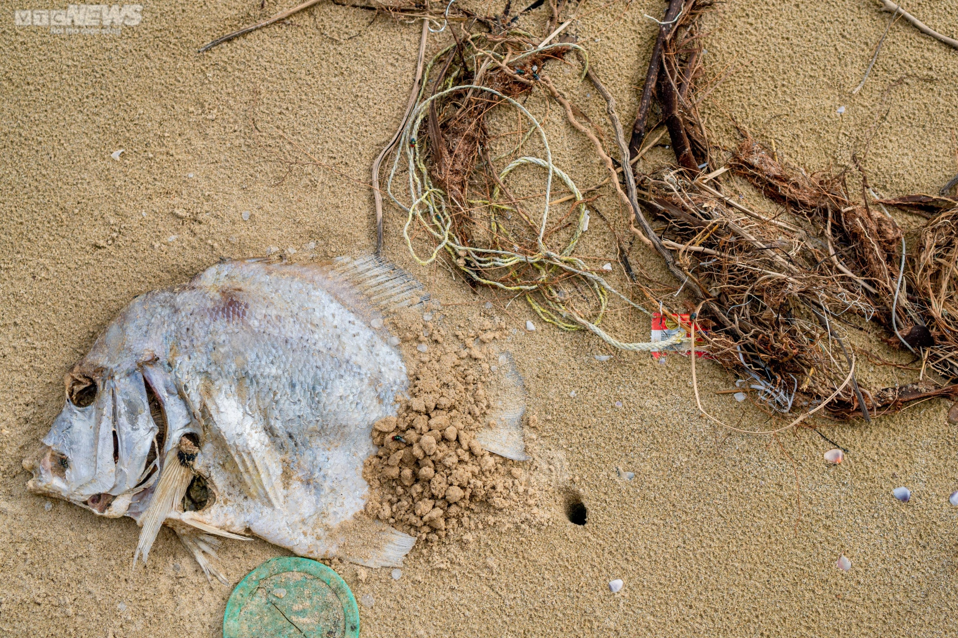 Ấn tượng những bức ảnh rác thải nhựa đại dương của các tác giả nước ngoài - 4