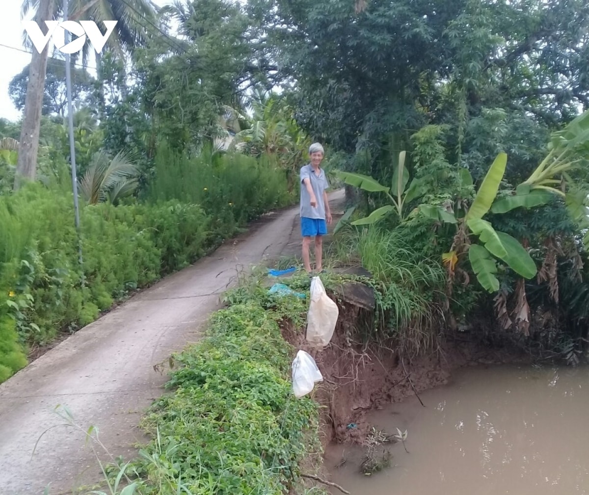 trieu cuong dang cao, tiep tuc gay sat lo tai tien giang hinh anh 2