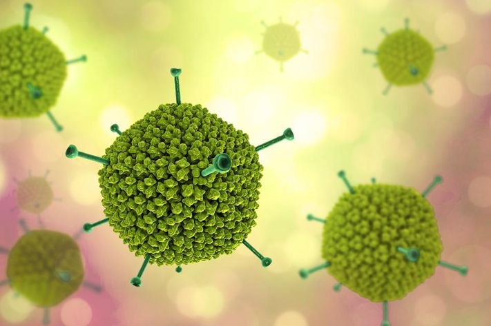 Suy hô hấp do Adenovirus ở trẻ nhỏ: Chuyên gia chỉ cách phòng bệnh - 1