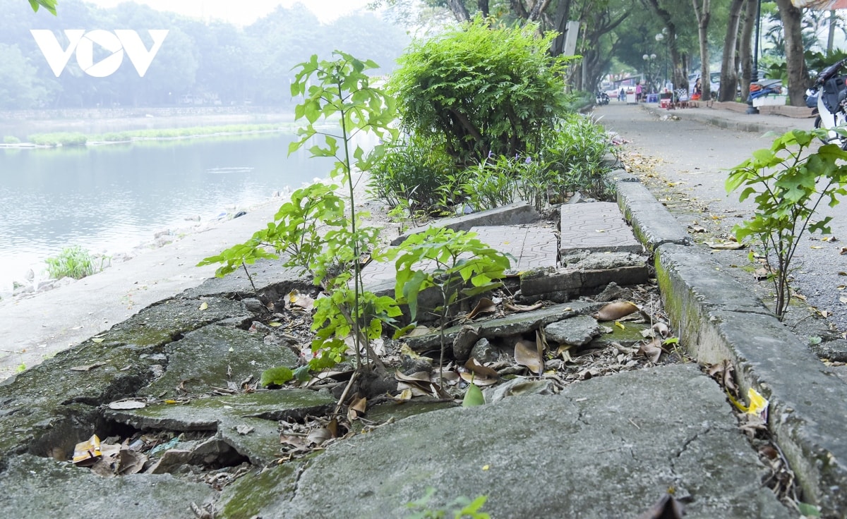 cong vien tuoi tre ha noi bi hang quan dua nhau xe thit hinh anh 5