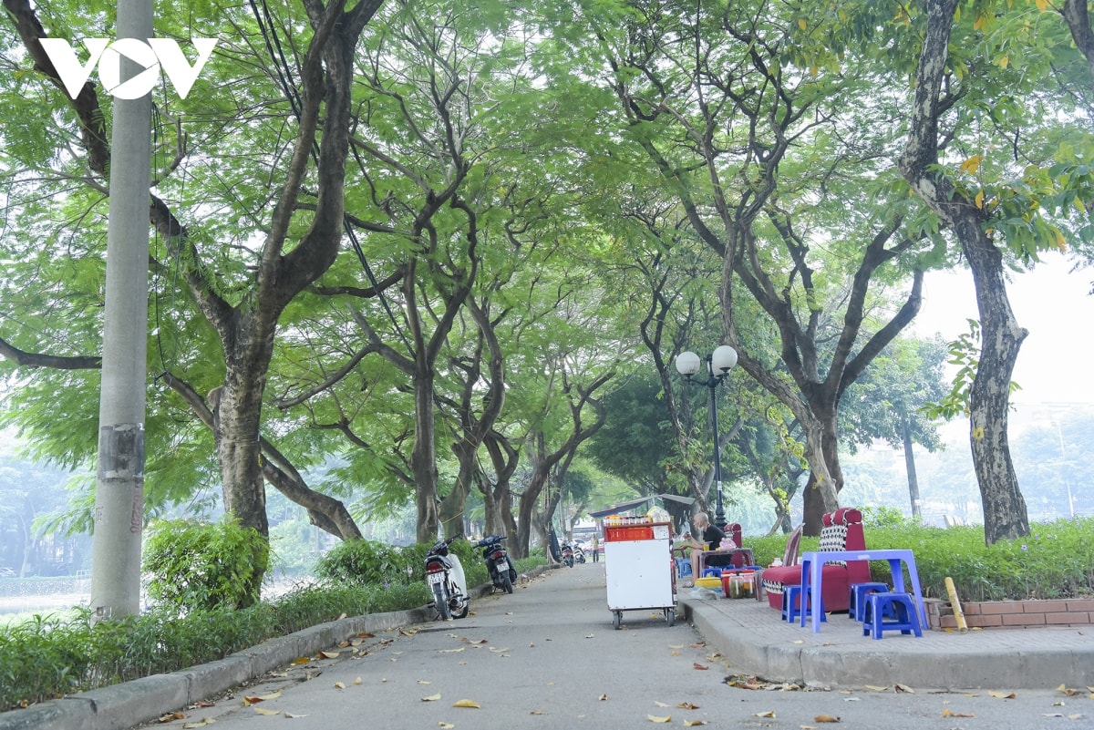 cong vien tuoi tre ha noi bi hang quan dua nhau xe thit hinh anh 4