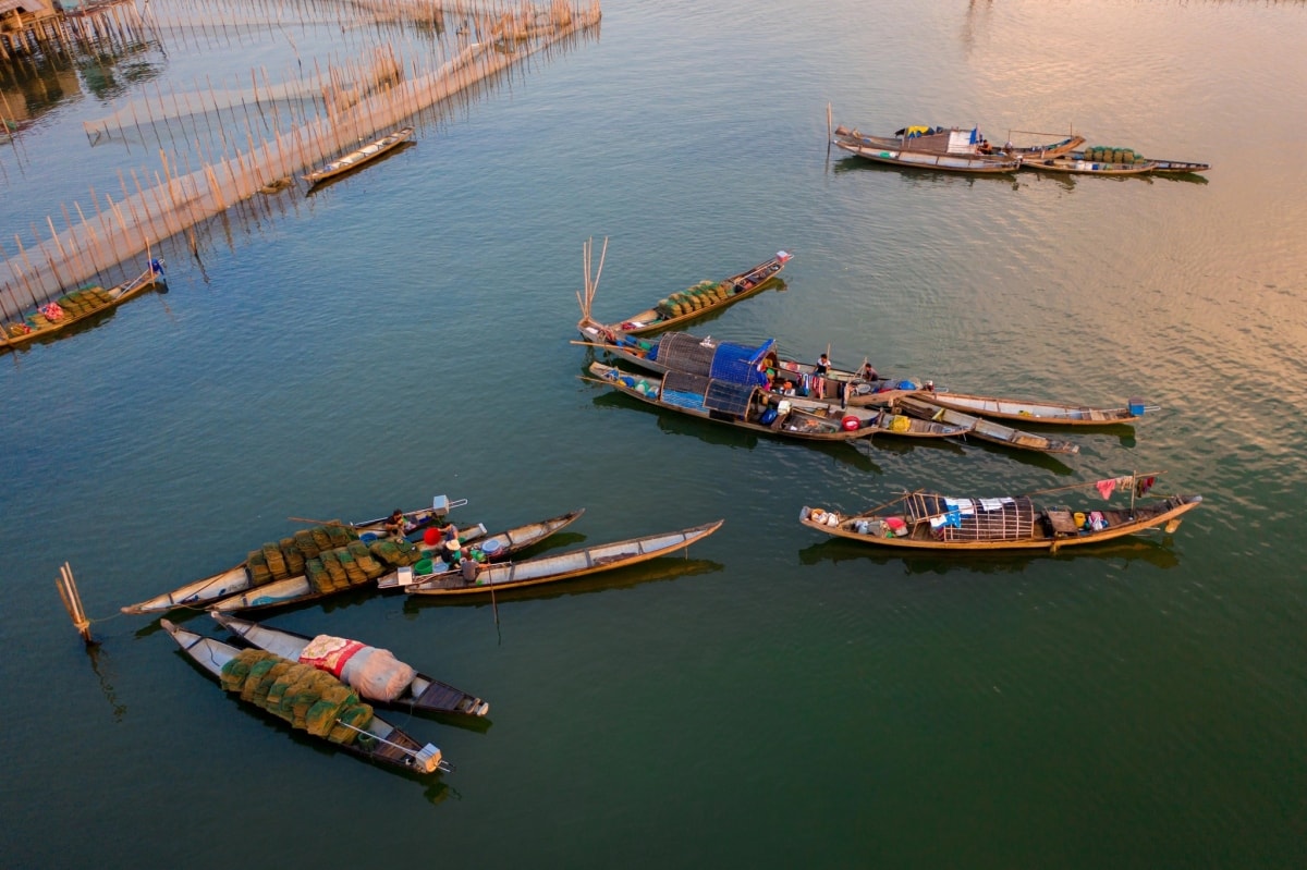 me hoac voi binh minh o Dam chuon hinh anh 10