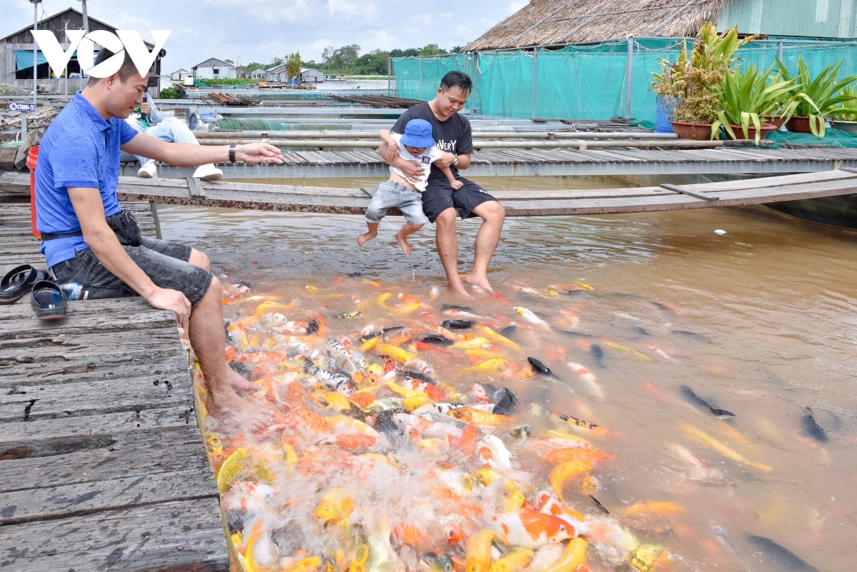 du lich nong nghiep hay hoc nguoi mien tay hinh anh 4