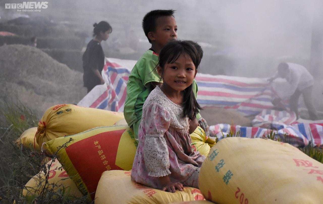 Ngắm cánh đồng lúa chín vàng tuyệt đẹp trên lưng chừng núi ở Quảng Ninh - 11