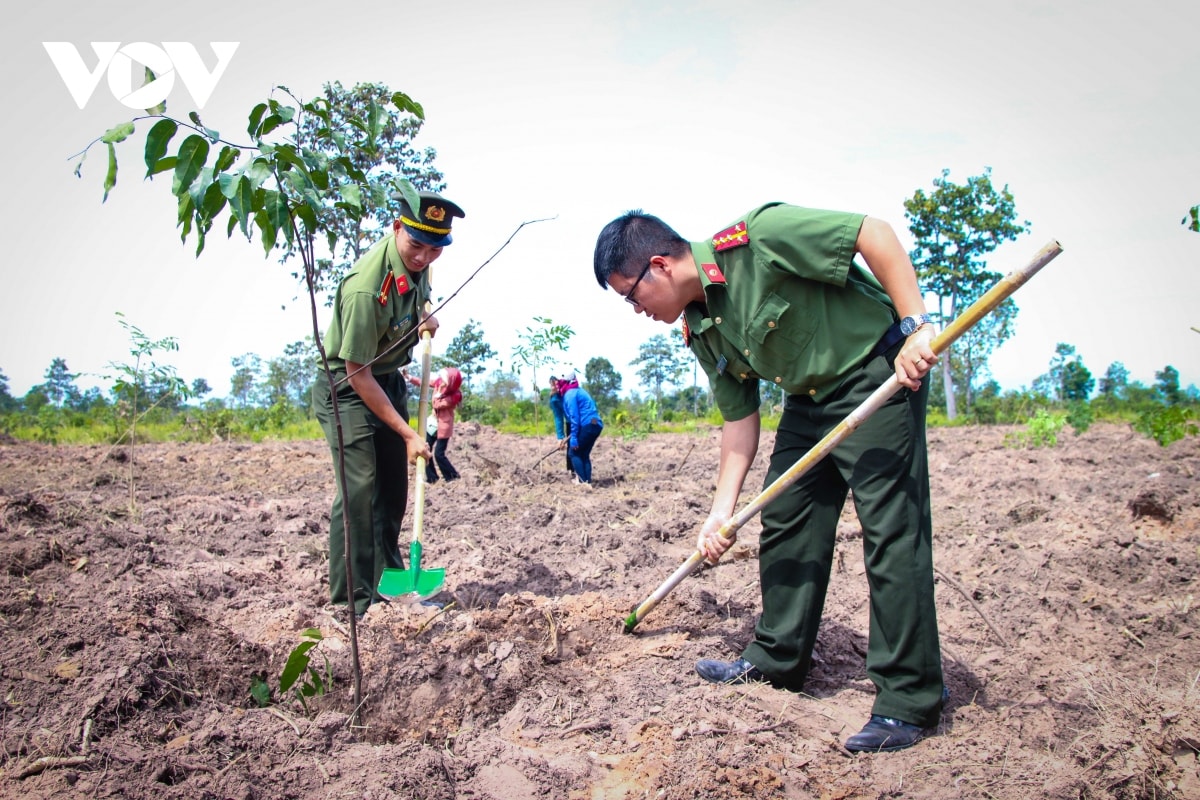 chung tay trong cay phu xanh rung dau nguon hinh anh 1