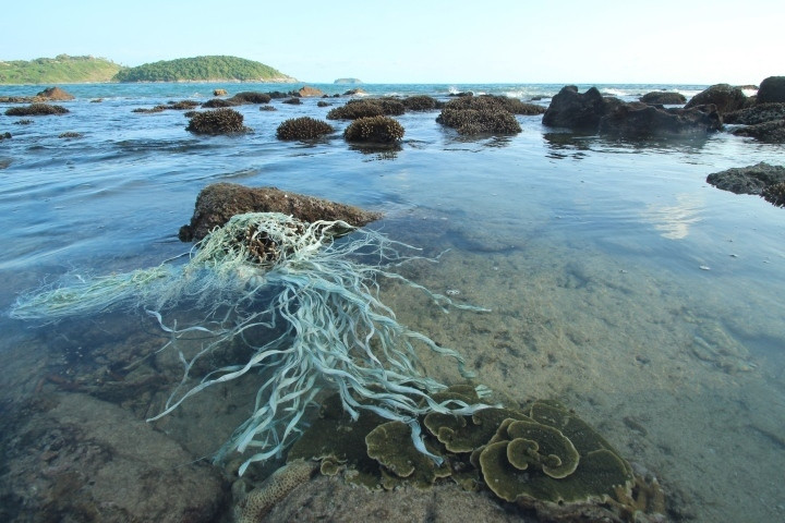 11 tác phẩm ảnh đạt giải 'Ô nhiễm trắng và những tác động đến hệ sinh thái biển' - 3