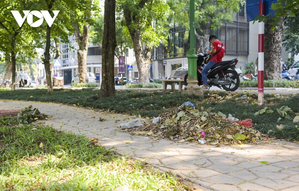 vuon hoa ho thien quang giua long ha noi nhung hoang vu, nhech nhac hinh anh 7