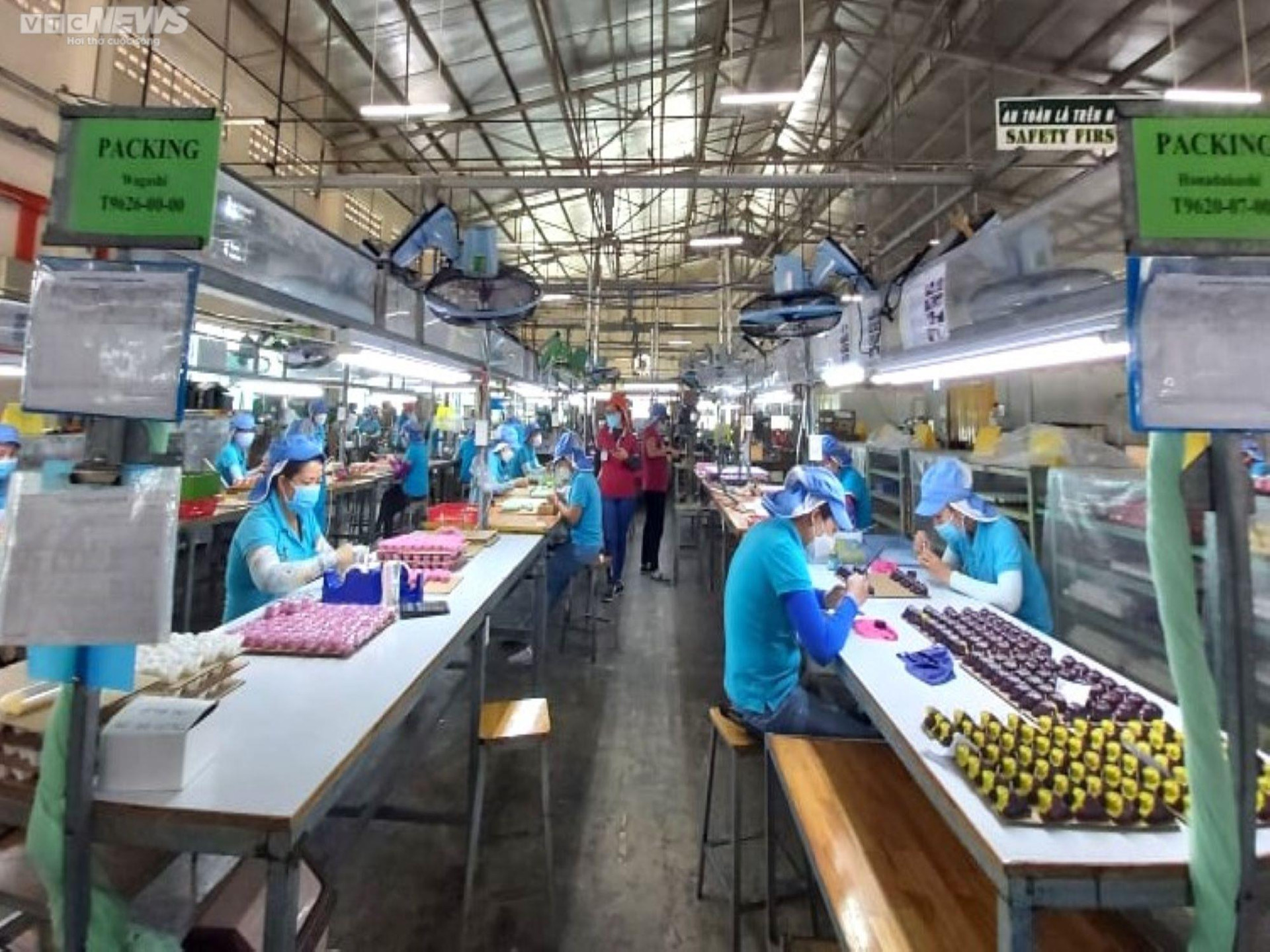 Hơn 1.000 công nhân ở Đà Nẵng bị mất việc, giảm giờ làm dịp cuối năm - 1