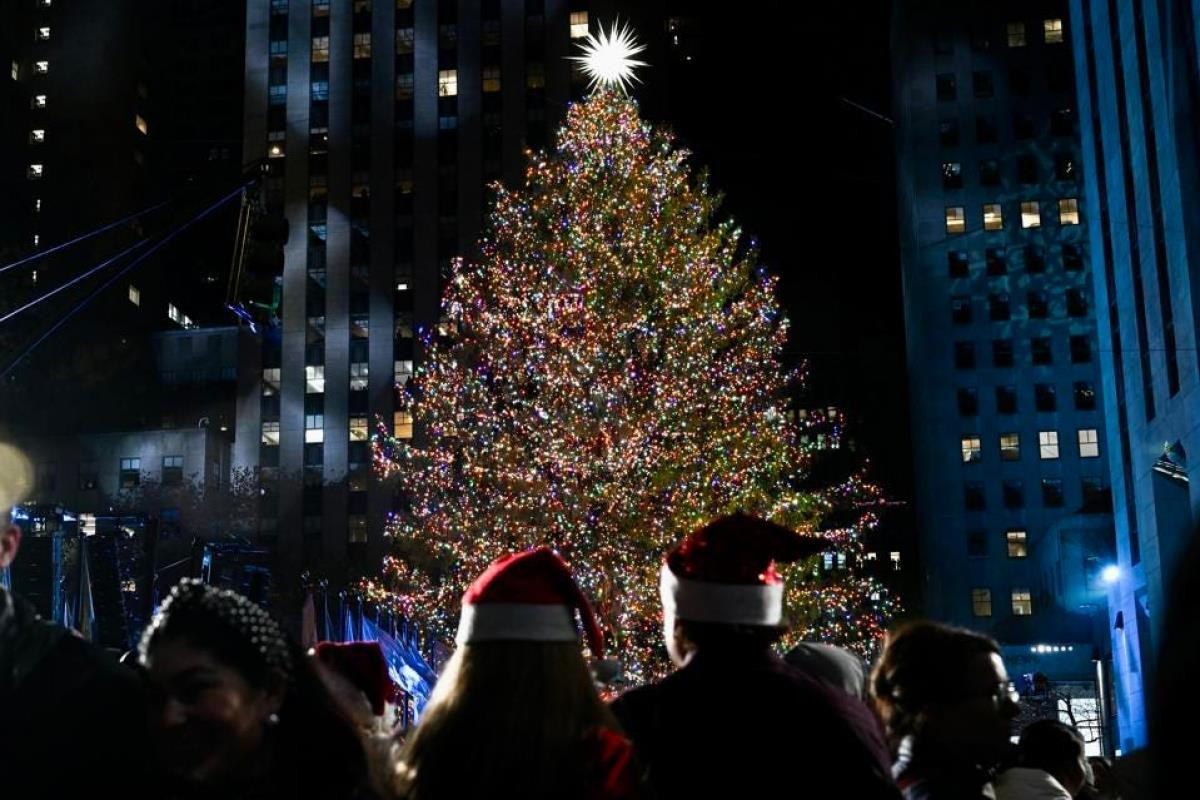 Chiêm ngưỡng những cây thông Noel độc đáo và hoành tráng trên thế giới - 2
