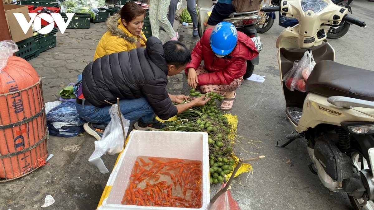 tet ong cong ong tao o ha noi hang hoa da dang nhung suc mua giam sut hinh anh 4