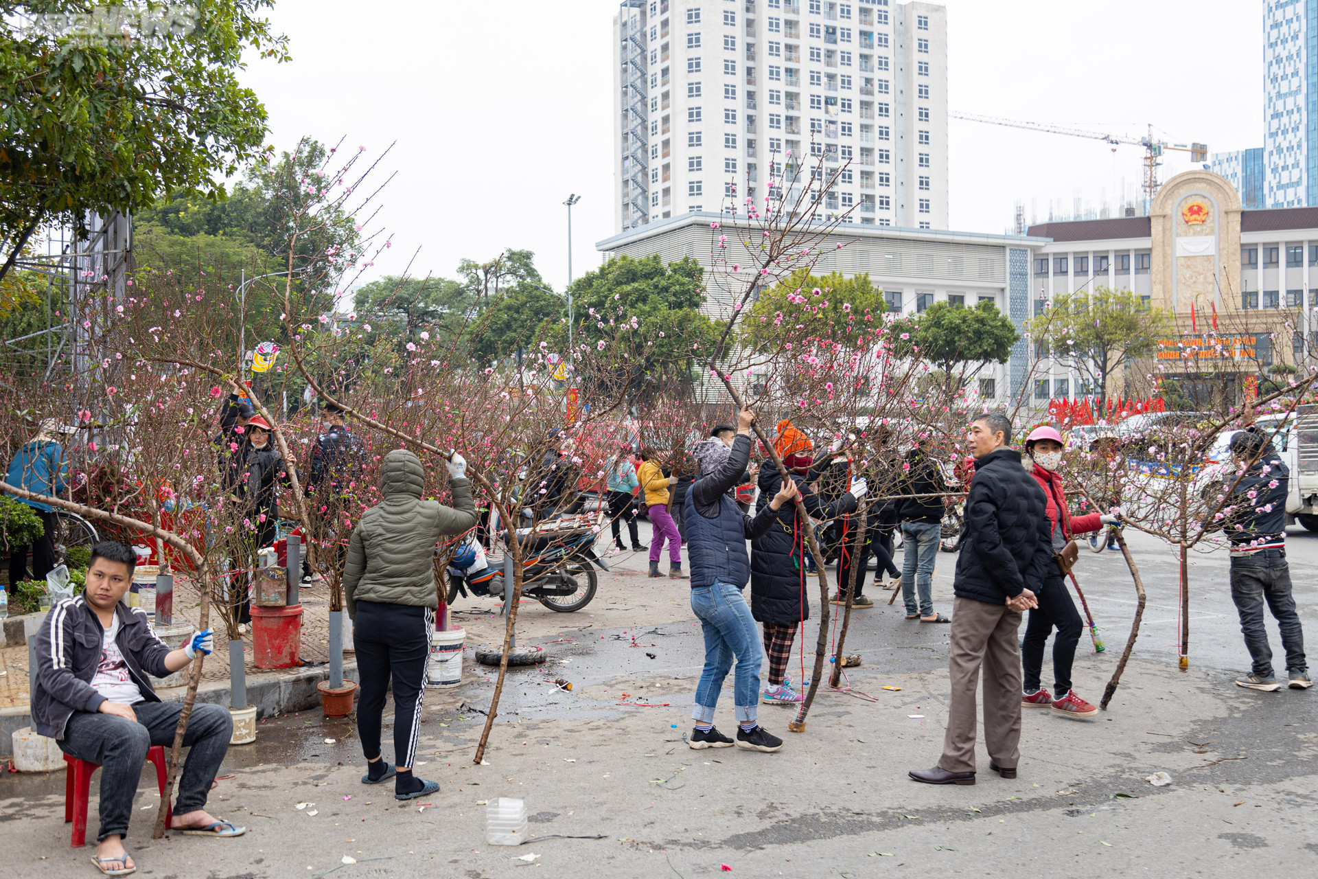 Hà Nội: Khách đổ xô đi mua đào, chợ hoa Lạc Long Quân chật kín chiều 27 Tết - 2