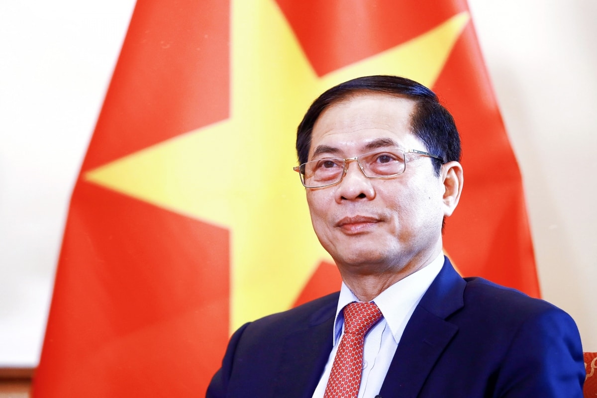 bo truong bui thanh son phat trien nen ngoai giao viet nam vua hong vua chuyen hinh anh 1