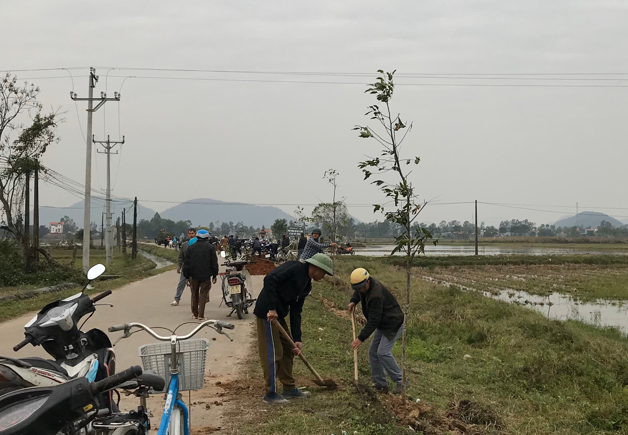 Kiều bào CHLB Đức trồng cây bảo vệ cảnh quan môi trường ở Thanh Hóa - ảnh 3