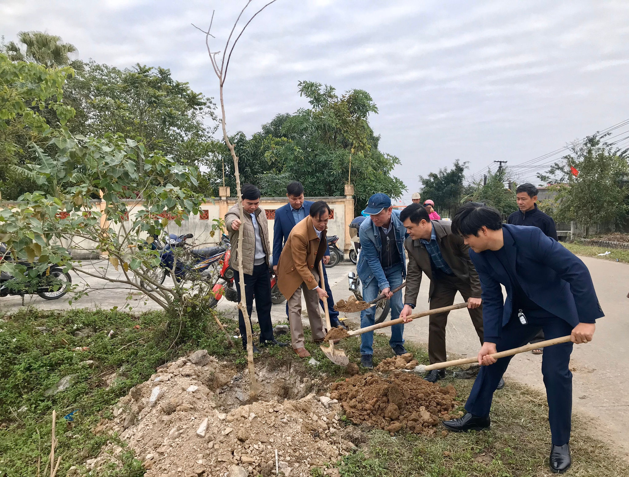 Kiều bào CHLB Đức trồng cây bảo vệ cảnh quan môi trường ở Thanh Hóa - ảnh 1