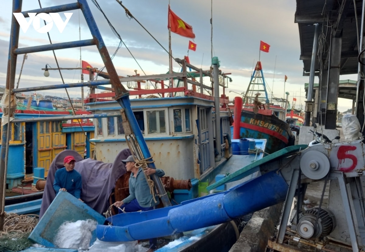 ngu dan mo bien dau nam vuon ra truong sa hinh anh 3