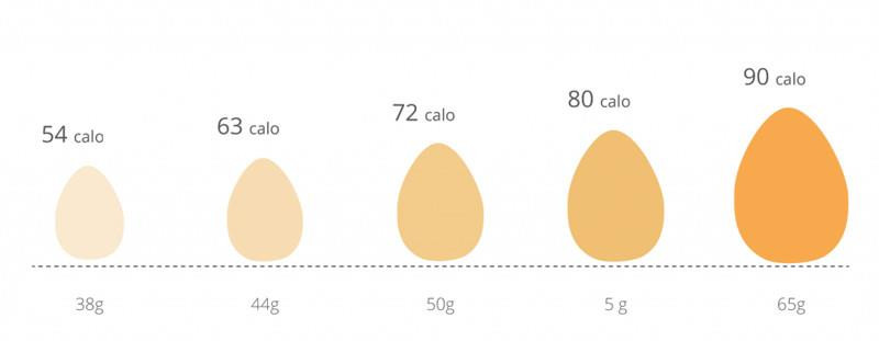 Ăn trứng luộc mỗi sáng có lợi hay gây hại? - 2