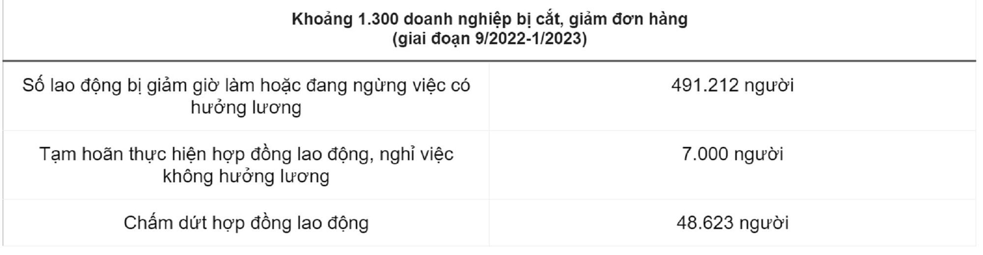 Gần 5.500 lao động bị nợ lương hơn 56 tỷ đồng - 2