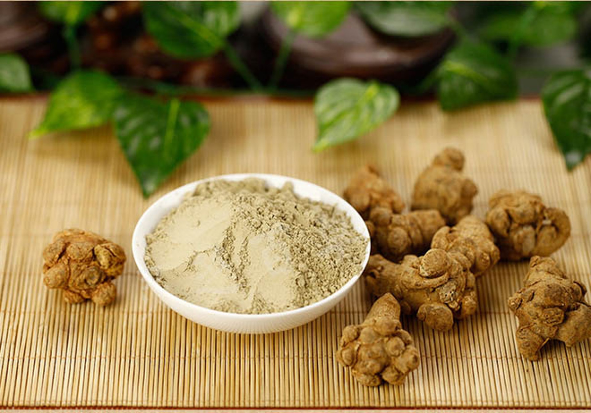 Những ai không nên uống tam thất? - 2