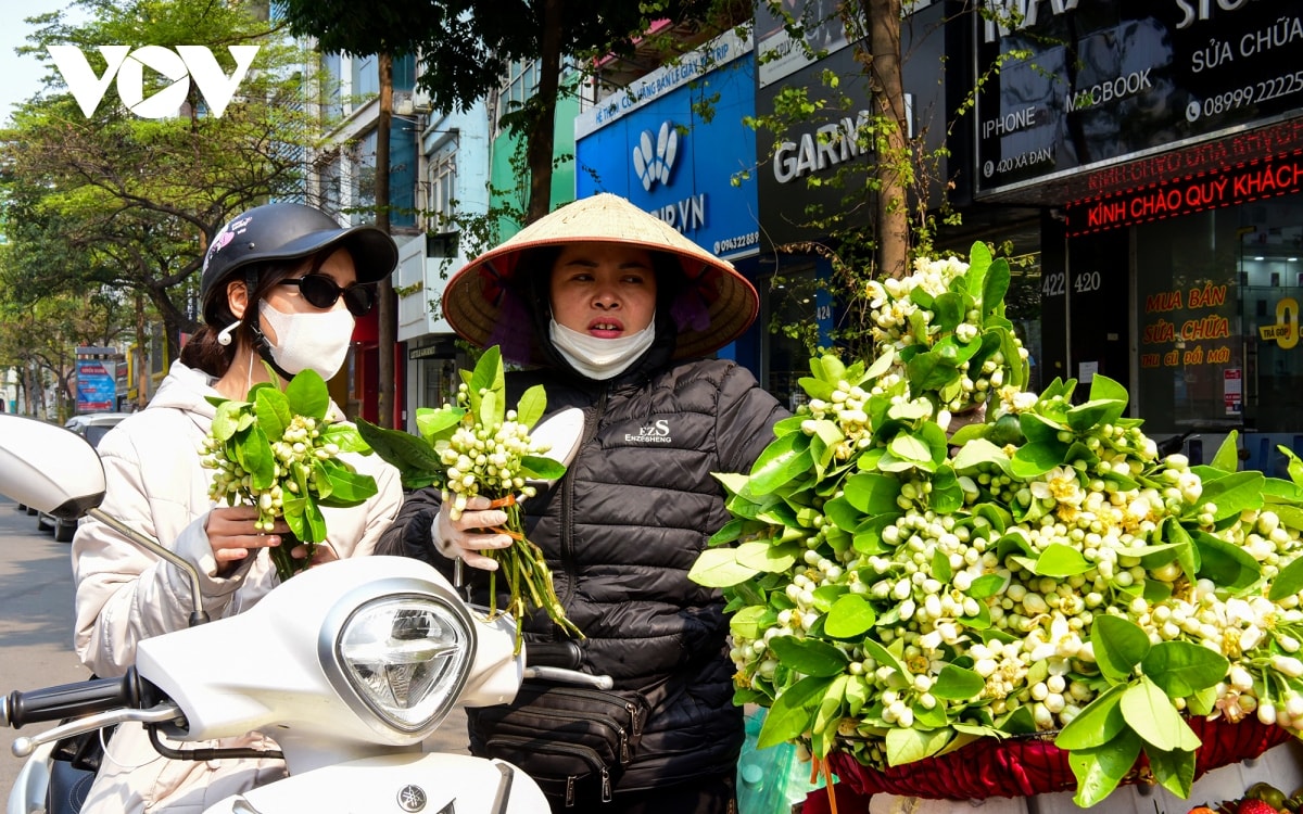 hoa buoi dau mua toa huong khap pho phuong ha noi hinh anh 10