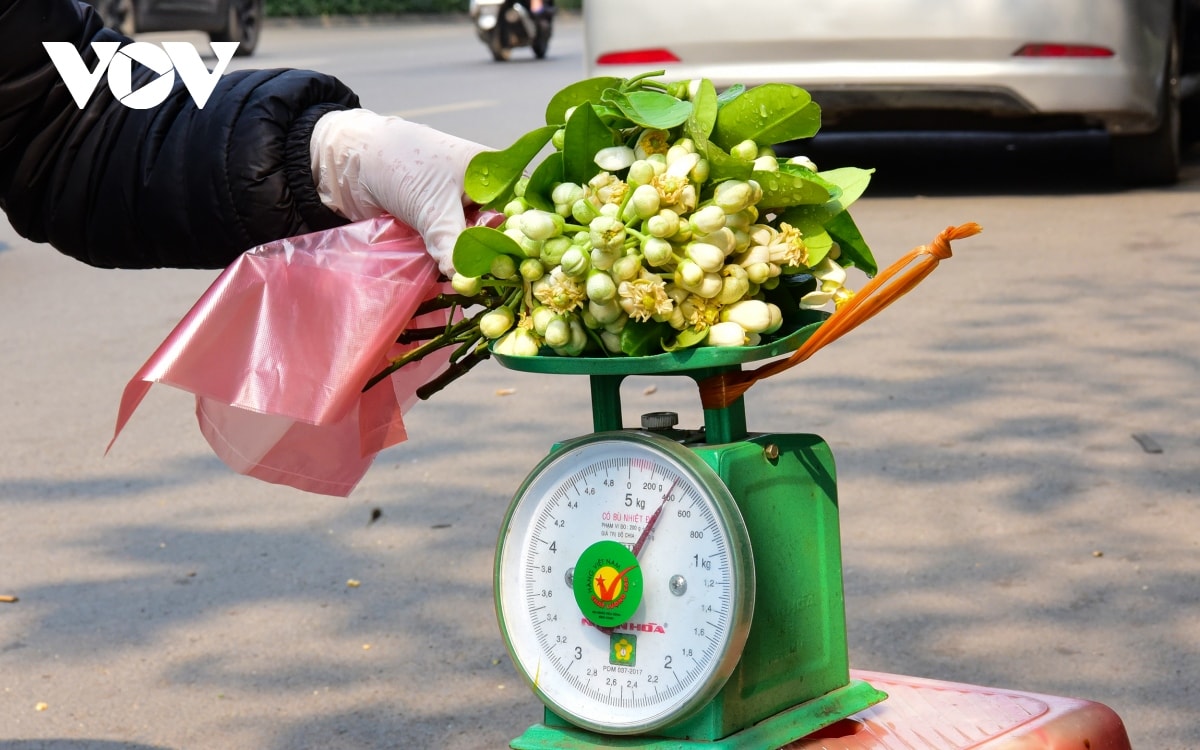 hoa buoi dau mua toa huong khap pho phuong ha noi hinh anh 11