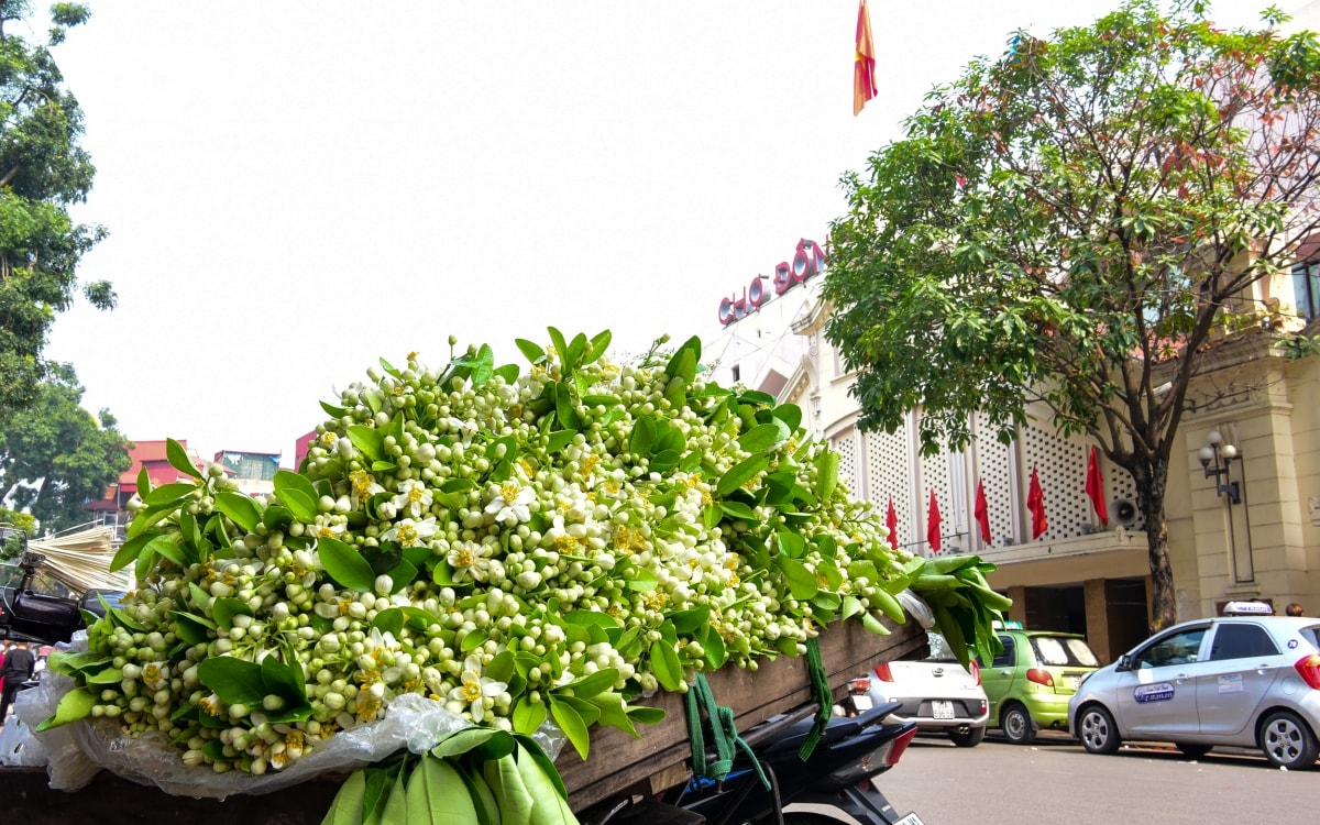 hoa buoi dau mua toa huong khap pho phuong ha noi hinh anh 9