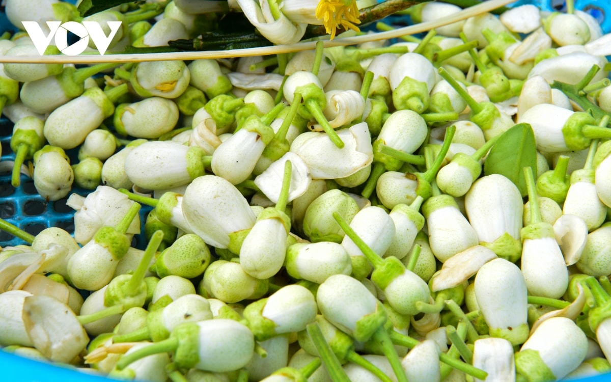 hoa buoi dau mua toa huong khap pho phuong ha noi hinh anh 6