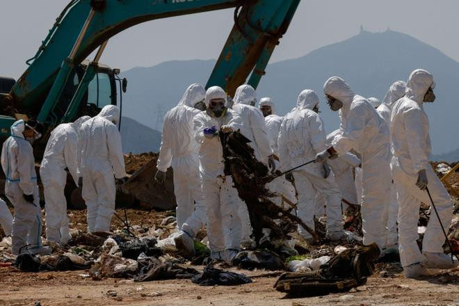 Cảnh sát đào bới bãi rác để tìm kiếm thi thể của người mẫu Hong Kong - 2