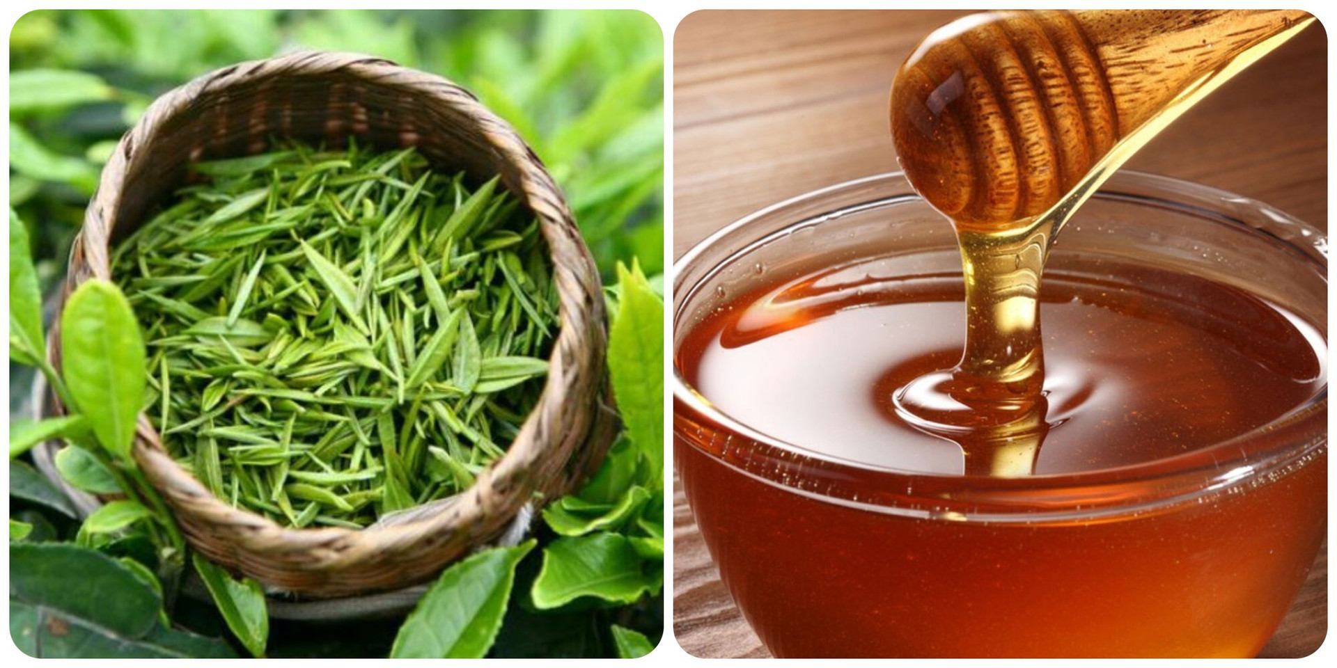 Uống nước trà xanh mật ong có tác dụng gì? - 1